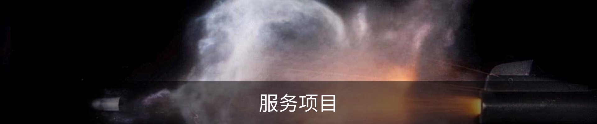 服务项目